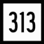 CT 313